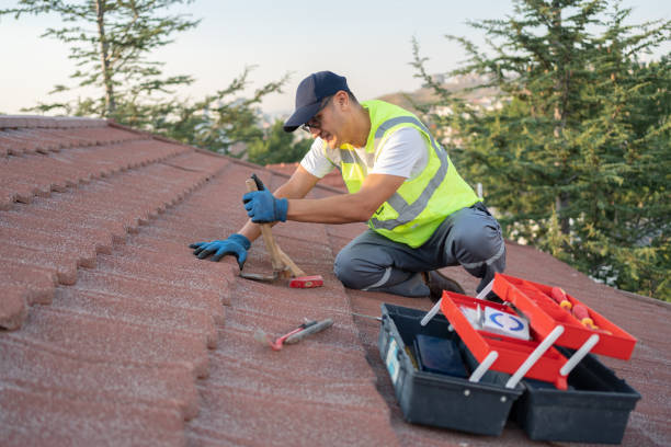 Best Affordable Roofing Company  in Holmen, WI